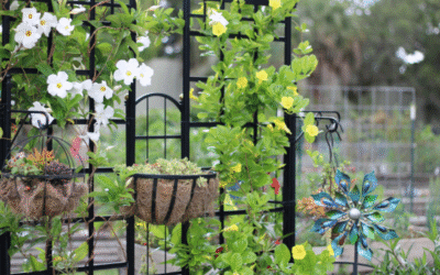How to Choose Custom Metal Trellises for Your Garden or Patio